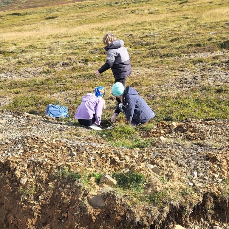 ac1ba587-6860-438b-9195-d32eda5d1a87