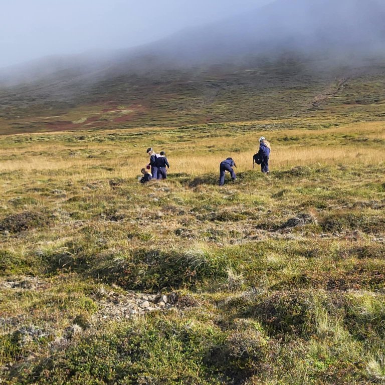 b48f91b3-5508-4250-ac4d-2dafe89d8938-1