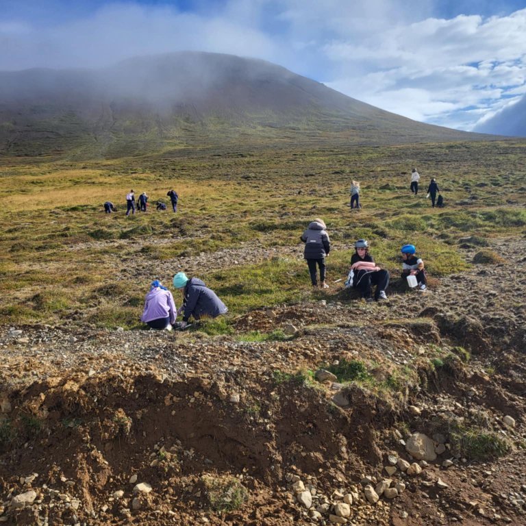 d7b3dc24-82b2-4ba4-b7c0-9601d95a31ee