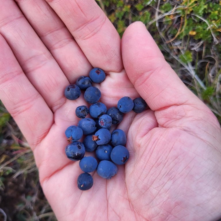 ded6b99b-72b0-4079-a806-7553ef6119e6