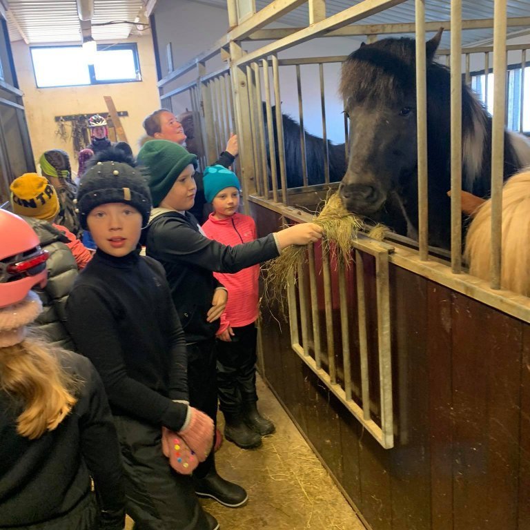 184107099_1409982949386276_1959385133462961686_n