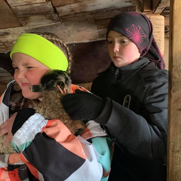 185031753_458660522101379_4446216236386880502_n