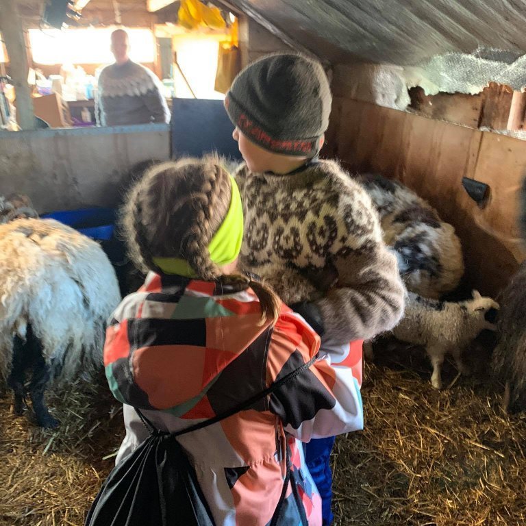 185253449_833191957613440_2532983899269666248_n