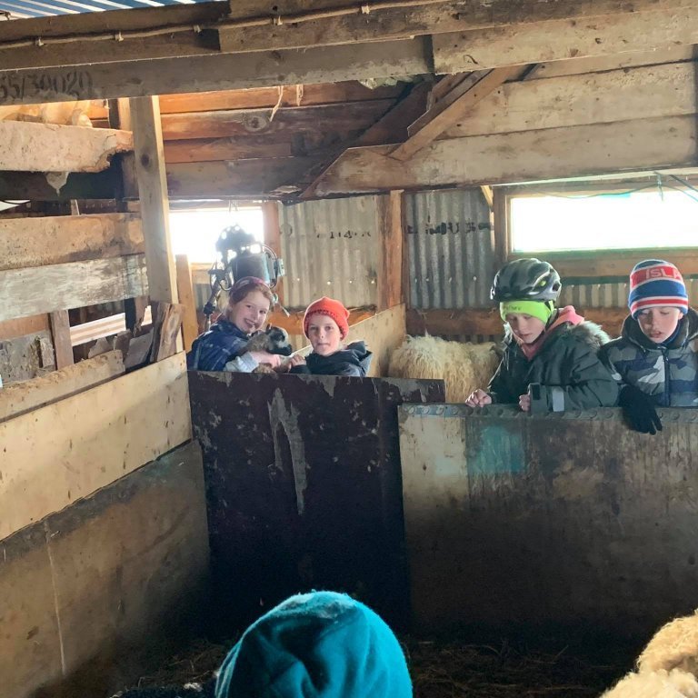 185731558_923055601820320_2497211596198436164_n