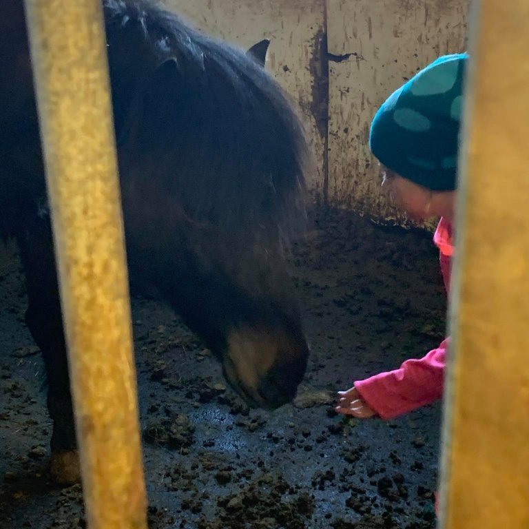 185802485_314341540063844_9110180592974104439_n