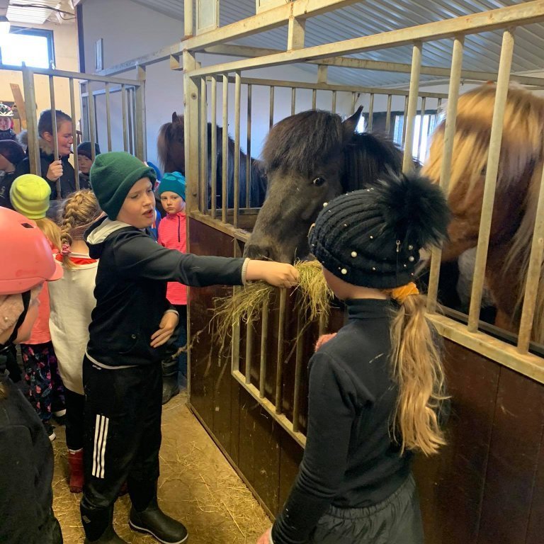 185884468_537714350563248_6652079869333108921_n