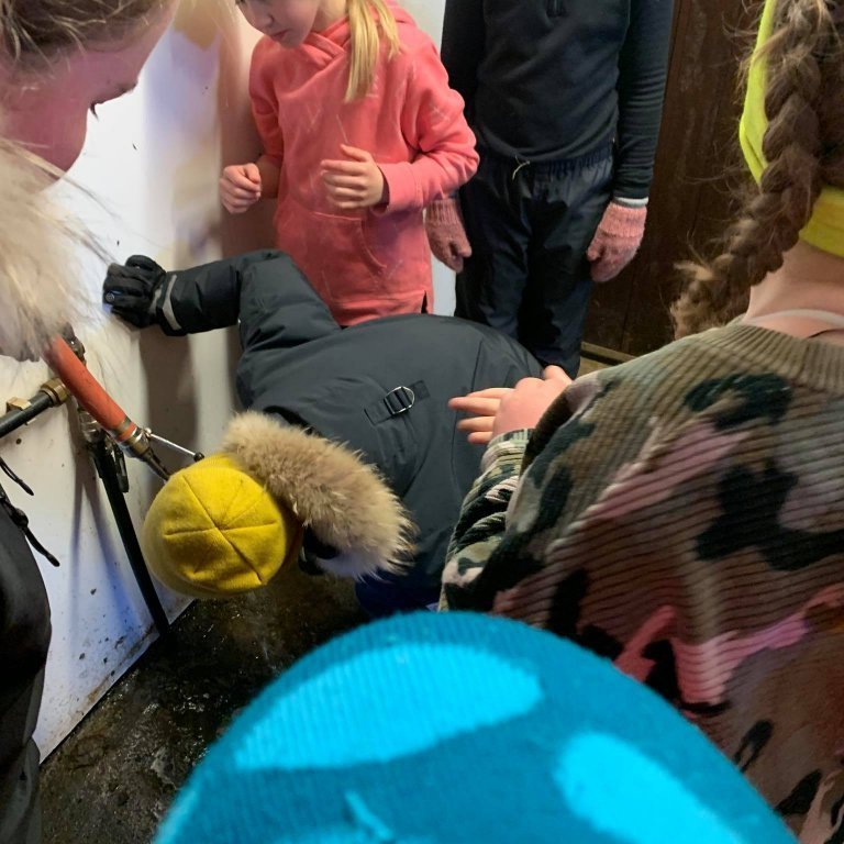 186128485_479770436600872_6973217359875872749_n