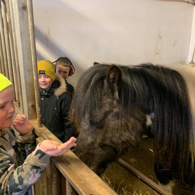 186240797_790641301879530_3690480930581701118_n