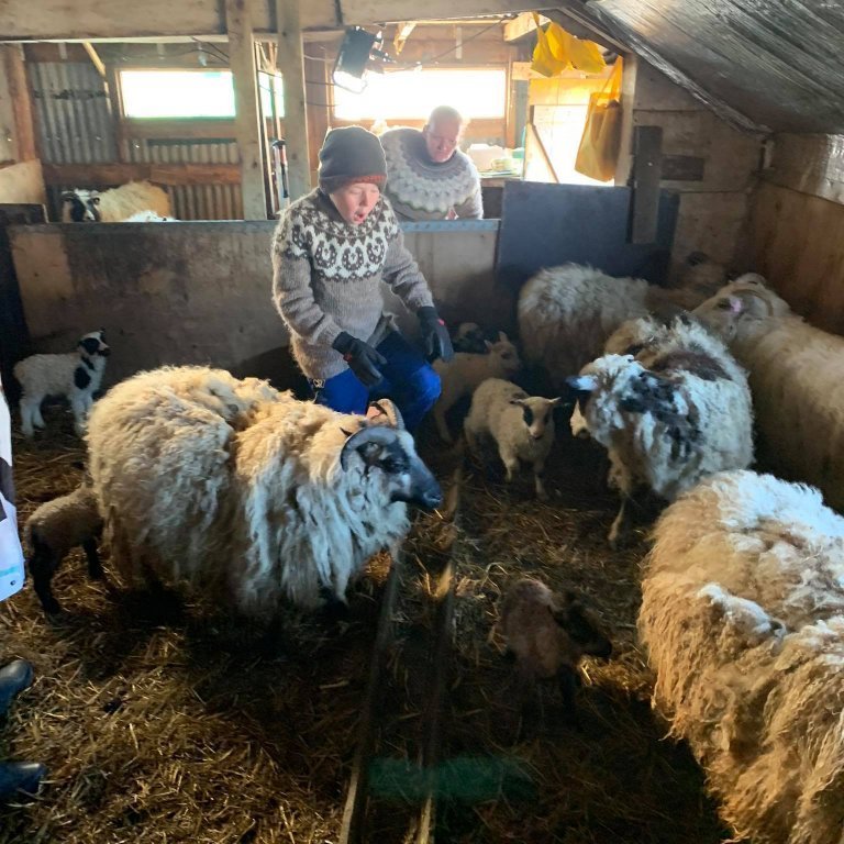 186450603_938350456994972_2810169017952811716_n