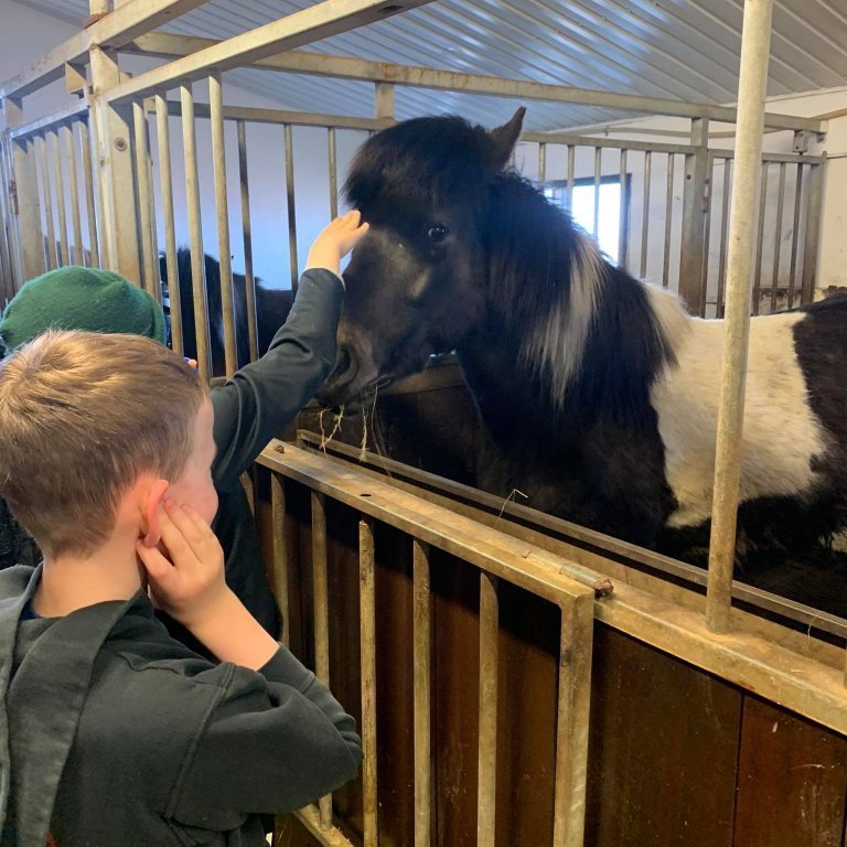 186479335_456843048950327_5049855989093768400_n