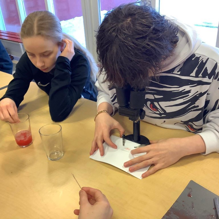 333382373_1639013236545263_7053332882174179107_n