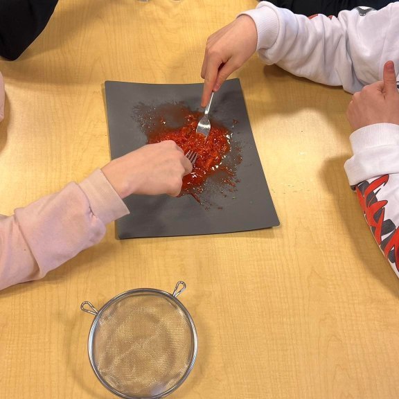 336455512_1374489360069560_8758628127133891159_n