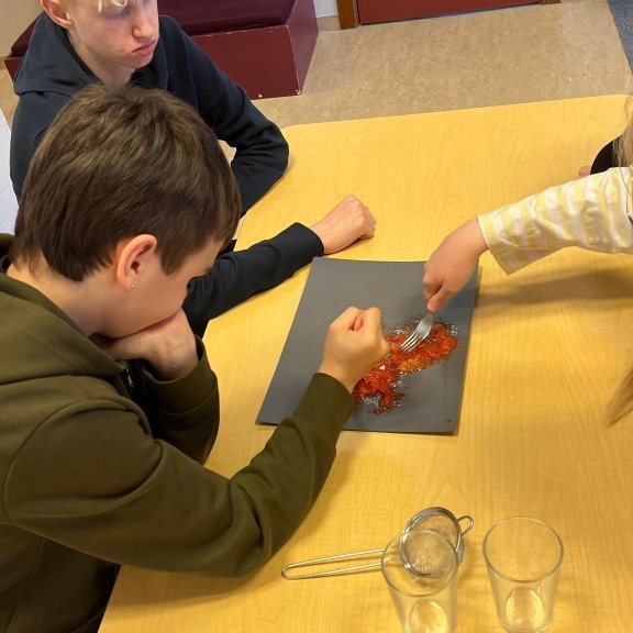 336598256_2120698624789964_1388927912235981804_n