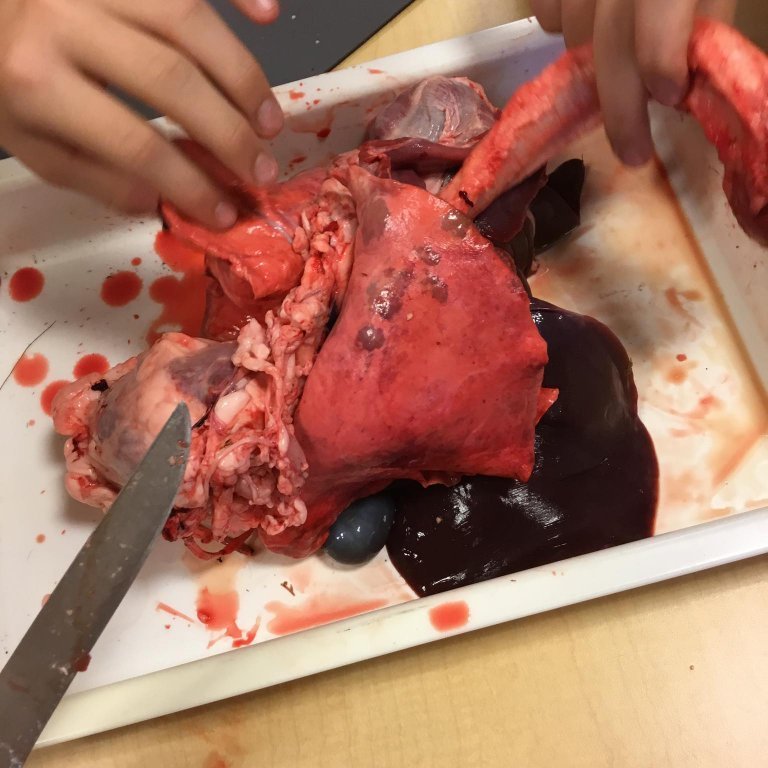 243102022_916804199216548_3937616928695109379_n