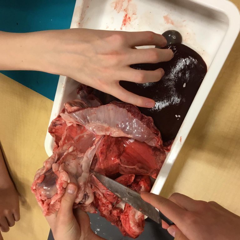 245295011_365267222053723_2795593578928968809_n