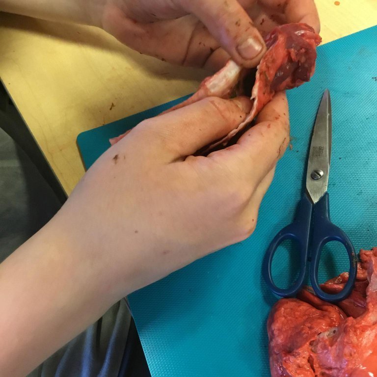 245316044_2736235436681903_8139297932619779115_n