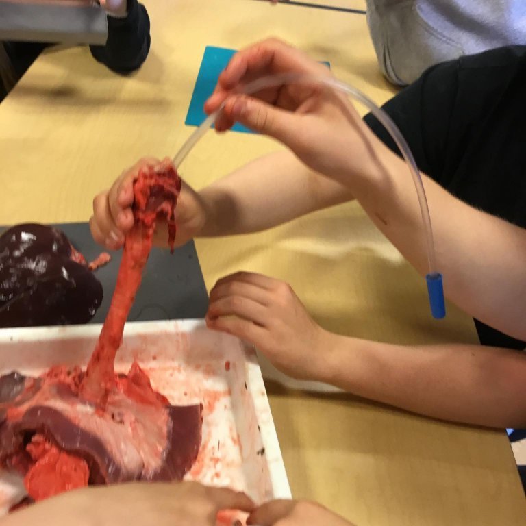 245335682_901566124083461_5621785902633210848_n