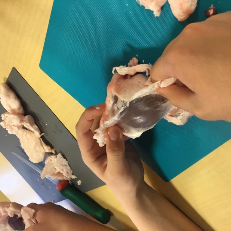 245341489_419742293082451_7557037783866216702_n