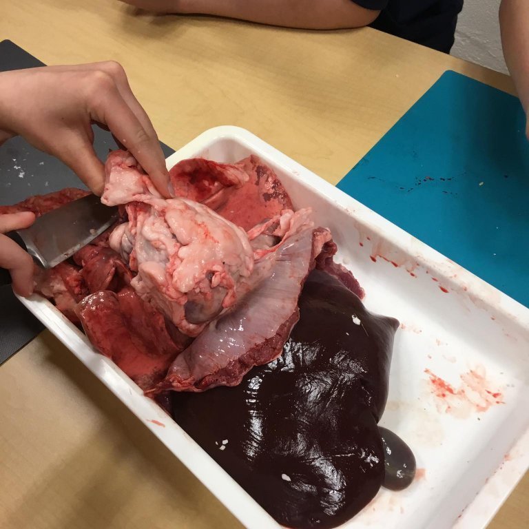 245341496_183021040644722_6153734116881879089_n