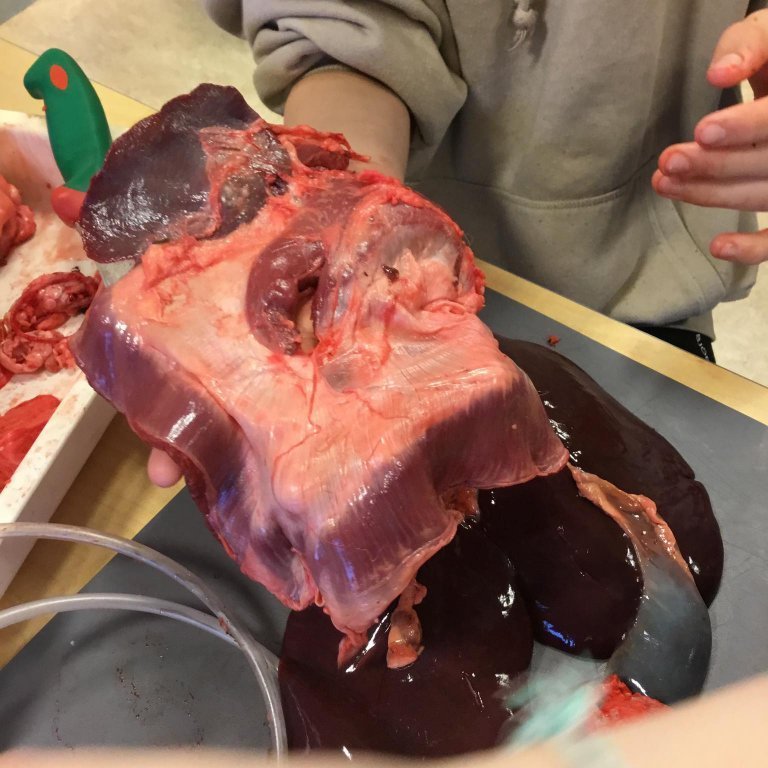 245356394_343039270948358_2597006789454404018_n