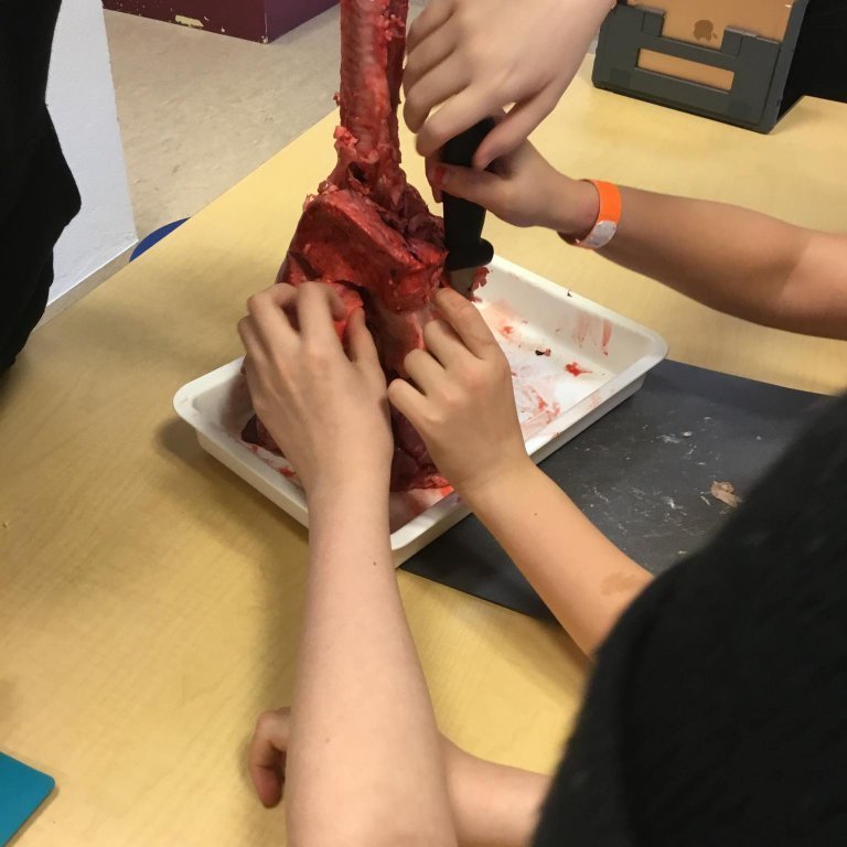 245413411_195282572734584_2300828282813544640_n