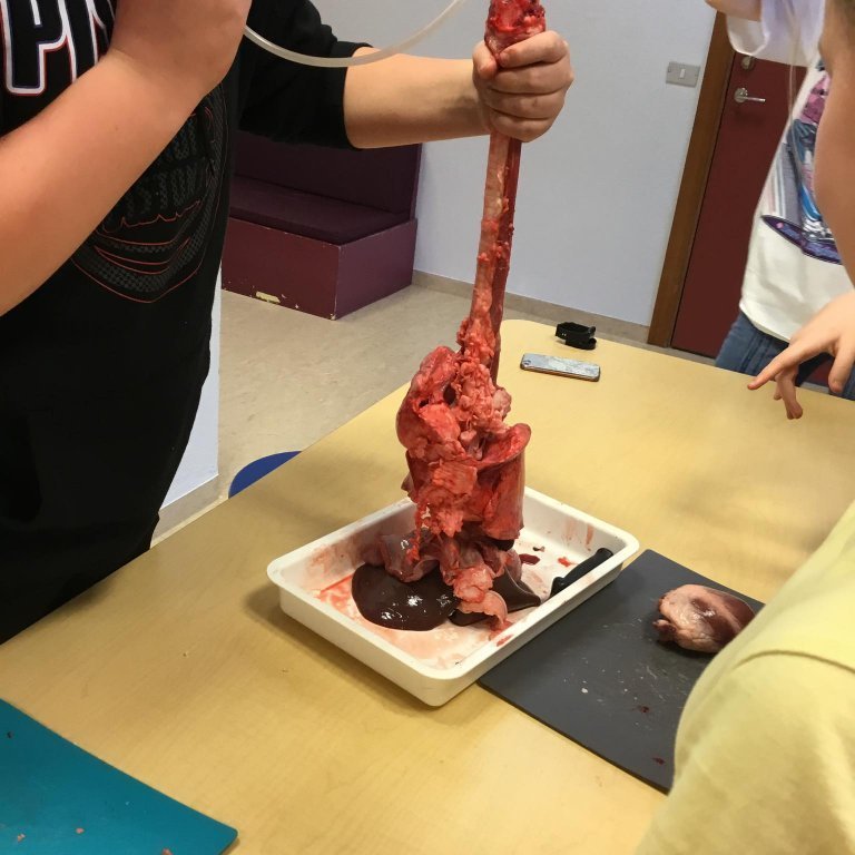 245414900_233274472116817_2575559778965594241_n