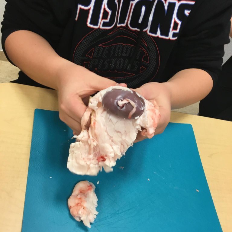 245416776_307222170777406_2279119923422956719_n