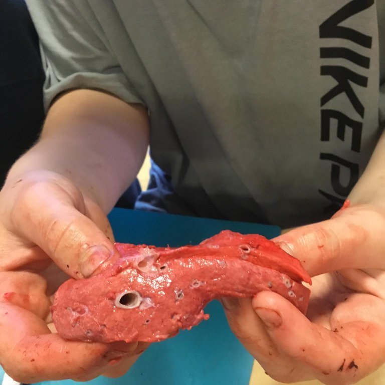 245437414_237214168389499_1602567176038347761_n