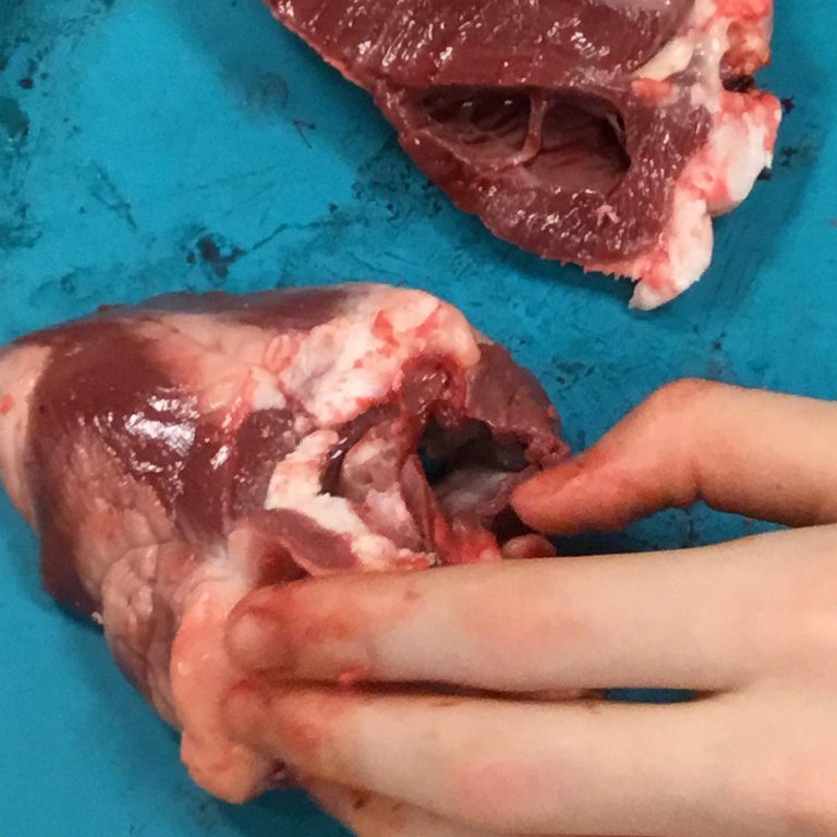 245437771_352856806629255_263765965486753516_n