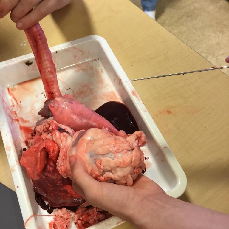 245442522_289362716341119_1506558731878416118_n