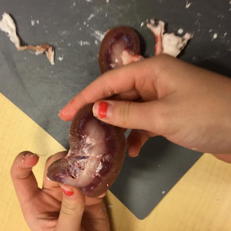 245443968_569981844246477_3278664598131922219_n