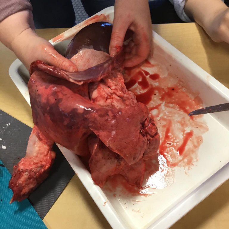 245457478_1171325493356523_6488124022113074121_n