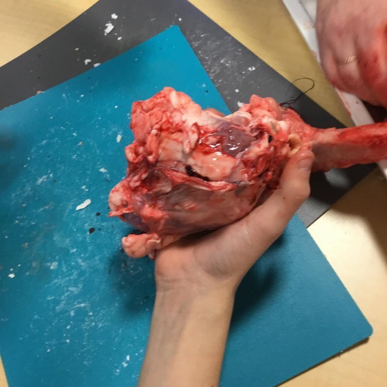 245466191_320576409904407_1754490168560130363_n