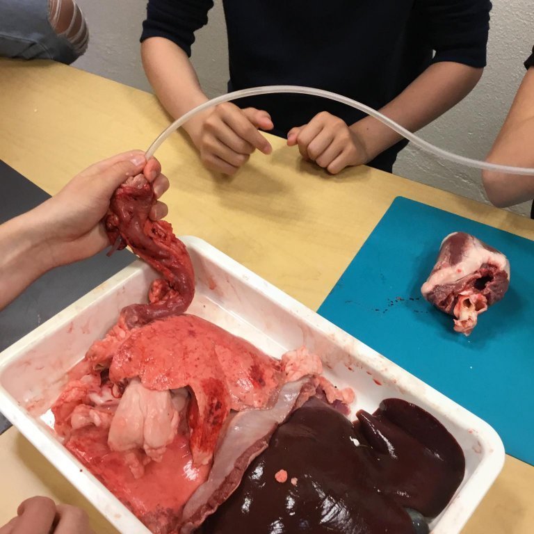 245482281_1991866307653075_6231585693624351352_n