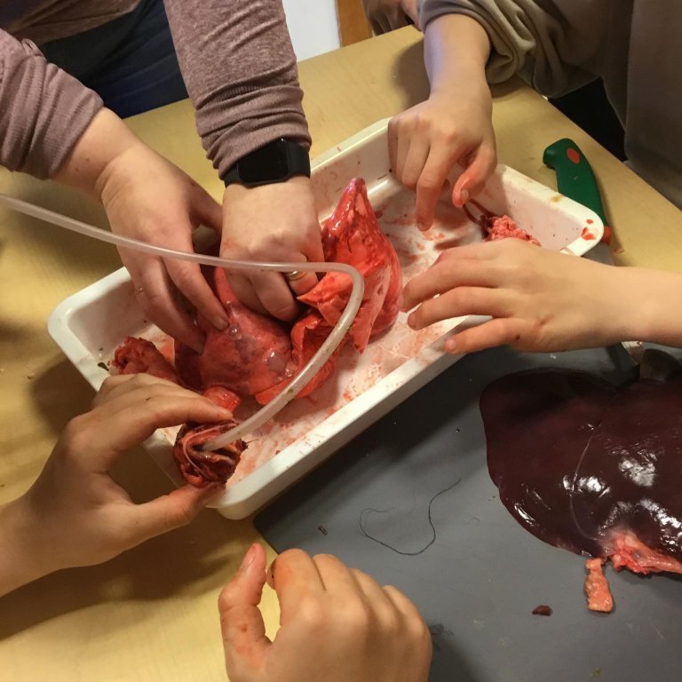 245503065_626193395453591_4801631340170472689_n