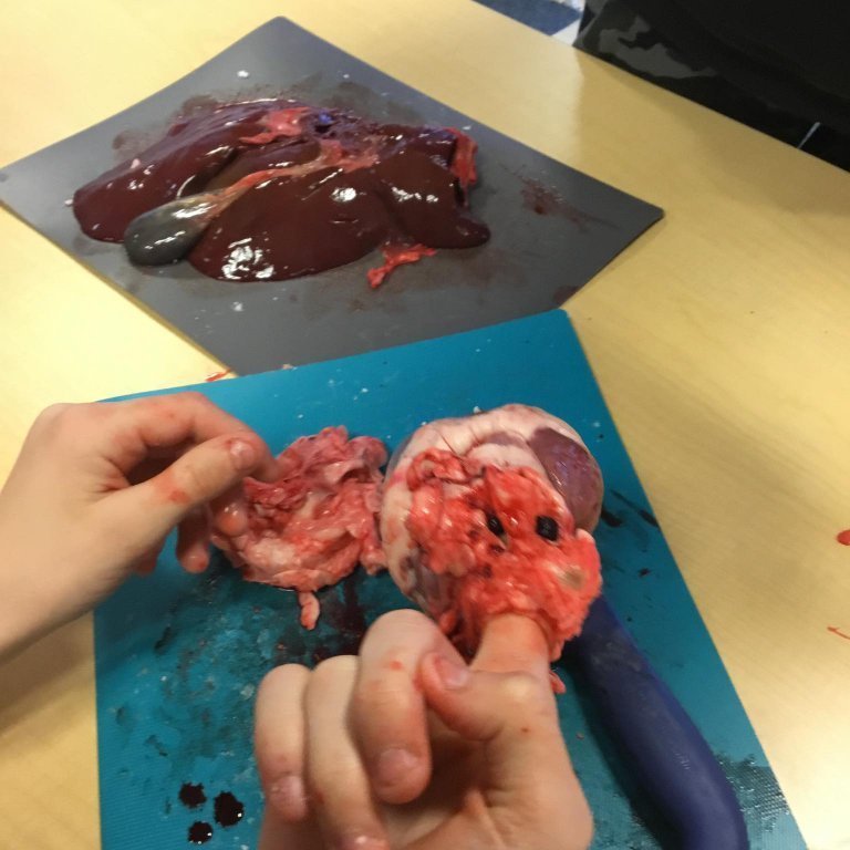 245529004_606369817070201_6273704756968089341_n