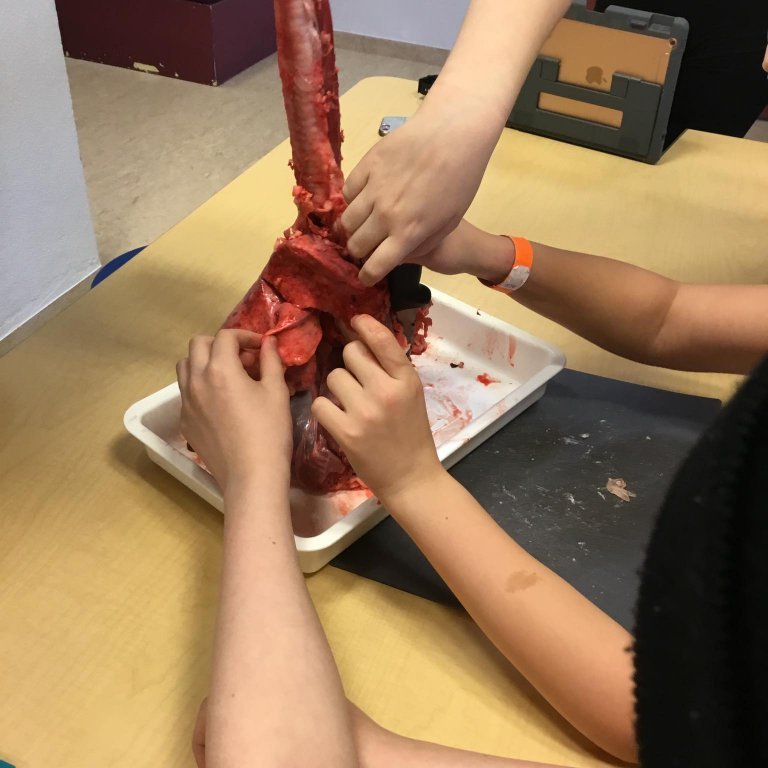 245588771_591321765444234_4598215600696461503_n