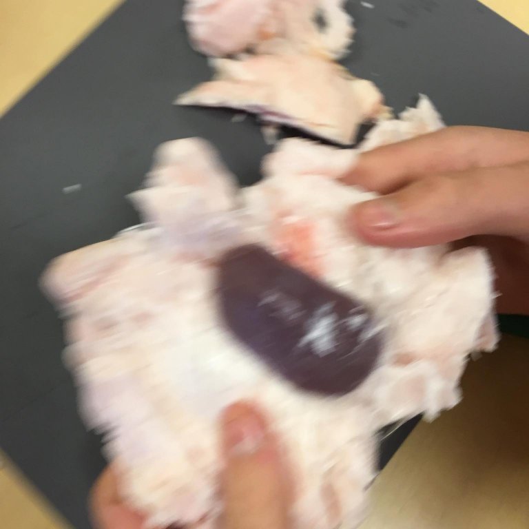 245605405_1073281623433739_597235374090144105_n