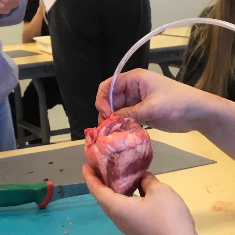 245650346_408732020858263_7934680062472023306_n