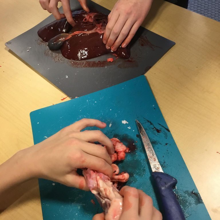 245667531_396138071992513_2152384502157521070_n