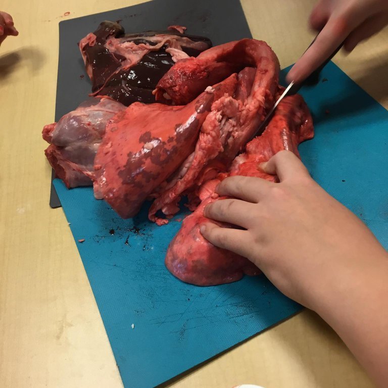 245685654_893231841321210_6091021420095189838_n