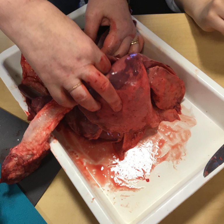 245812853_612257236875645_2519101633406911105_n