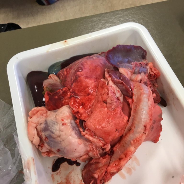 245899577_400960784886225_5463240259758682655_n