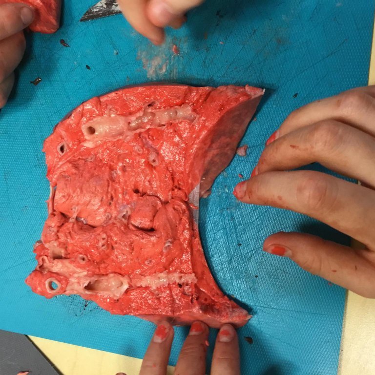 246134457_228331666025654_8867169814408375016_n