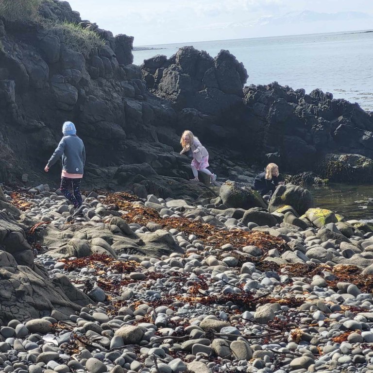 22239532-65aa-4f37-8cef-e256dcbdc294