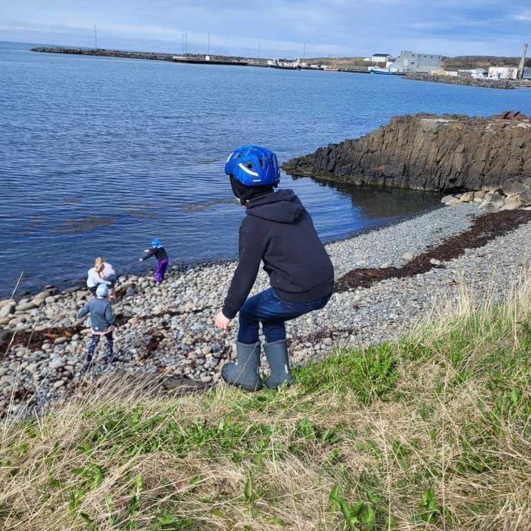 442b27c6-9e24-48e9-9674-191d63f54f62