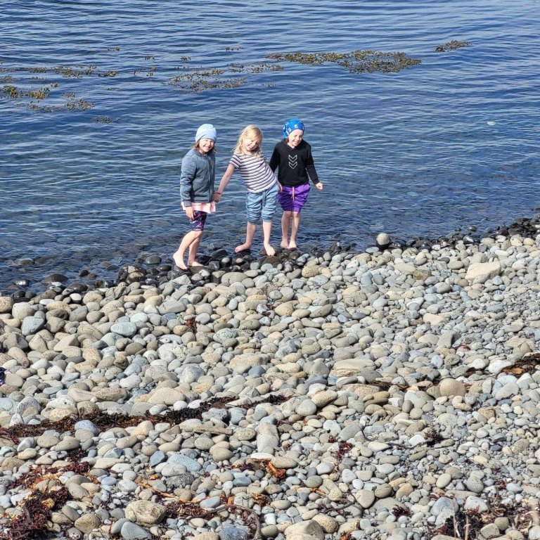 6cc75d42-283c-4ff8-90ba-c7eea7f5d185