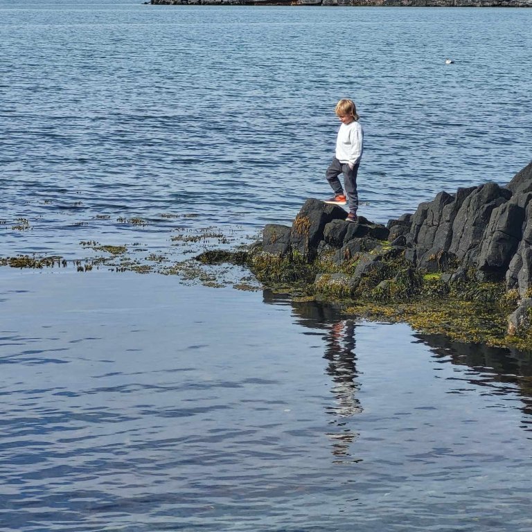 a0c1797b-cdd1-44cc-87f4-e1184bd2e1ee