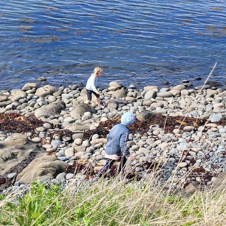 e3c33725-05e5-408d-b0ff-341bf9577a7e