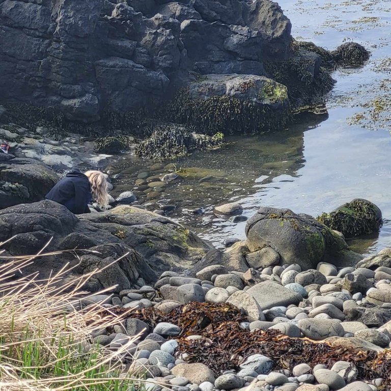 fdd20f4c-fafc-4104-9f26-226ef607b693